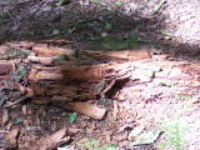 100_1596.jpg